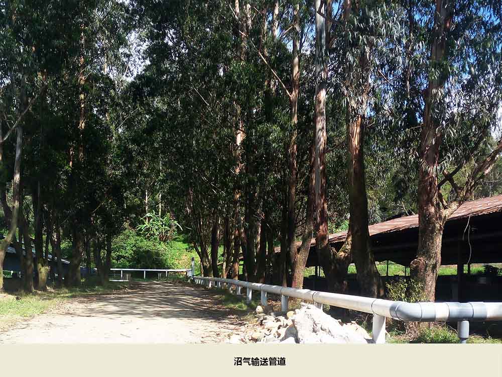 沼氣保送管道.jpg